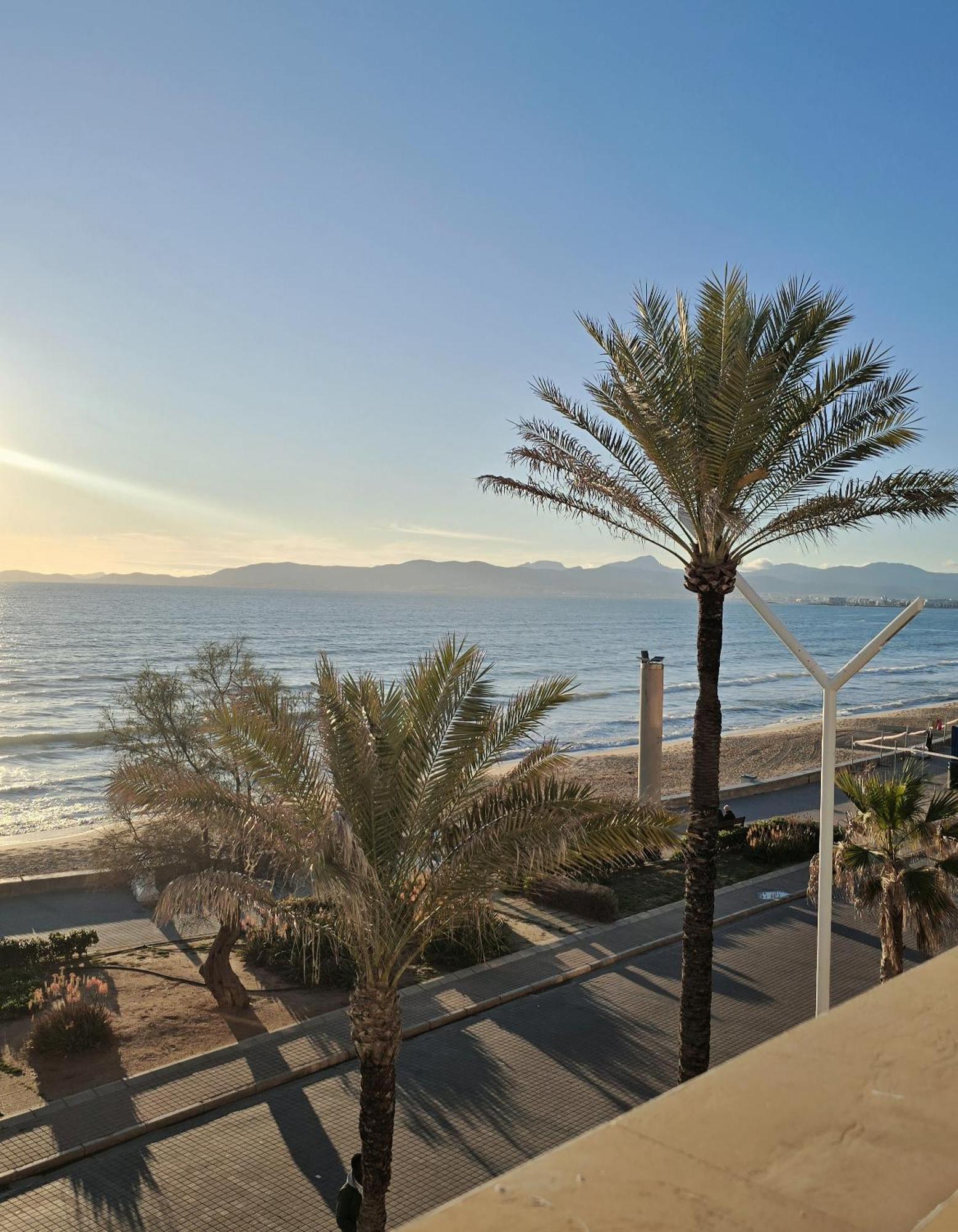 Hotel Q-Royal Playa de Palma  Dış mekan fotoğraf